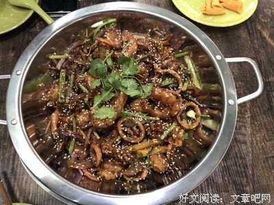 大嘴狼和他的朋友们读后感1000字