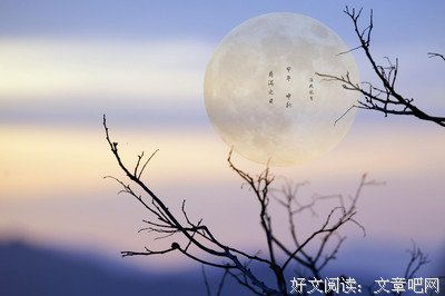 《浮生·流年》读后感锦集