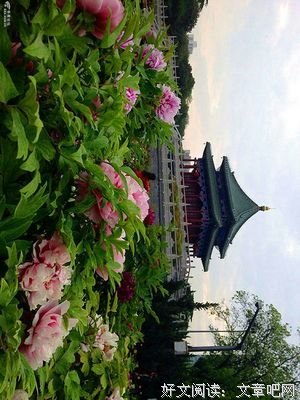 关于天下太平的名言