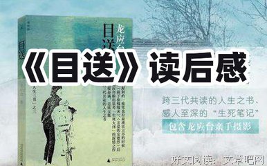 失落世界（全二册）读后感精选