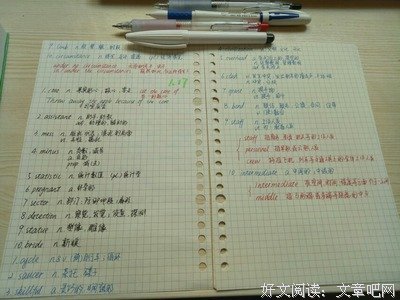 《历史学与社会理论（第2版）》读后感100字