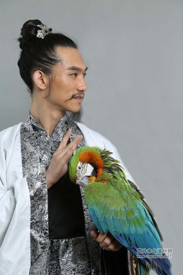 格大物她们如歌，且歌且格大我条经典名句