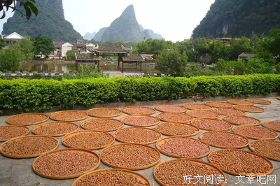 关于时间煮雨。的句子