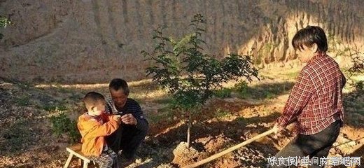 钢铁女汉子的你。。坚强经典的句子