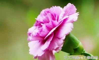 缘起即灭,缘生已空。名句欣赏