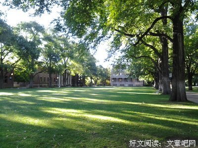 只是、感觉句子
