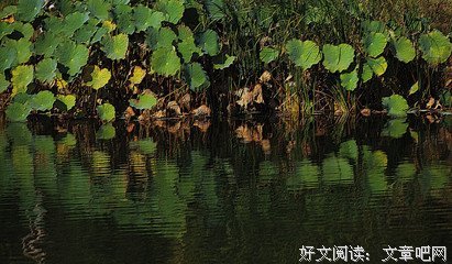 有关繁华落尽的句子