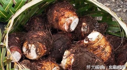 这为第吃一到的味道句子