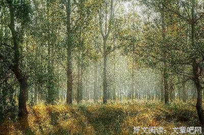 共鸣经典的句子