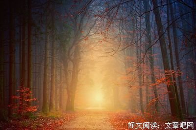 最新的《晚秋》经典语句大全