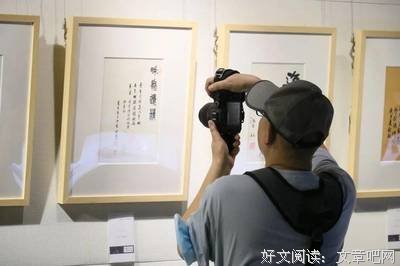 最经典的《晨曦》名句欣赏大全