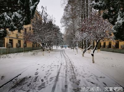 《末雪》经典句子