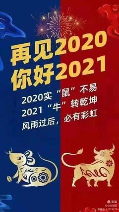 《永远不要停下前进的脚步》的读后感大全