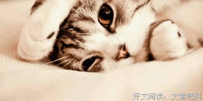 《变形记》读后感100字