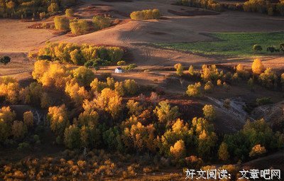 我们向往的生活读后感1000字