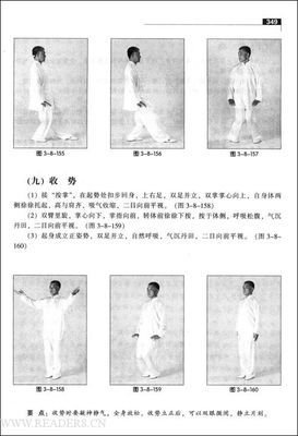 四象的读后感大全