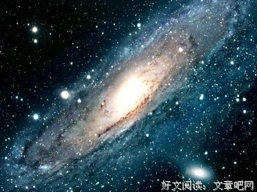 再见，贝拉的读后感大全