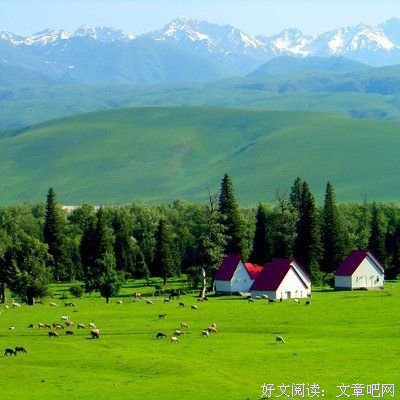 夜的命名术读后感锦集