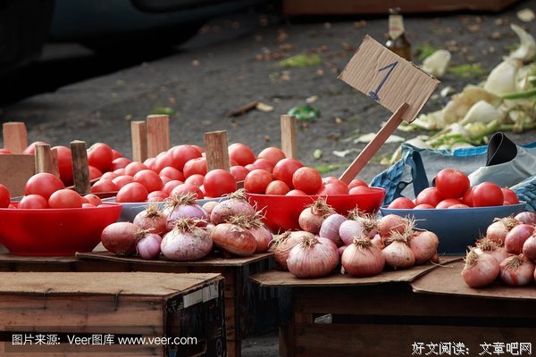 《西西里著名的熊入侵事件》好看吗？经典影评锦集