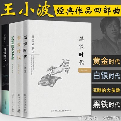 隐页书城（三部曲）经典读后感有感
