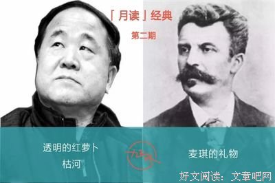 《傻子的一生》经典读后感有感