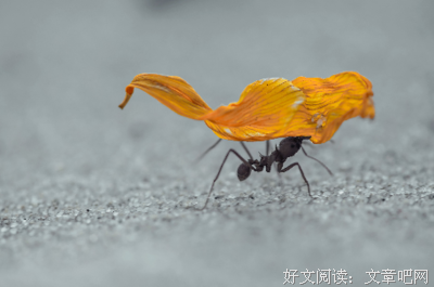 《图话经典：伟大的发明家》的读后感大全