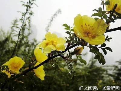 尼采如何克服历史主义的读后感大全