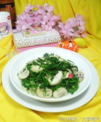 蘑菇日志经典读后感有感