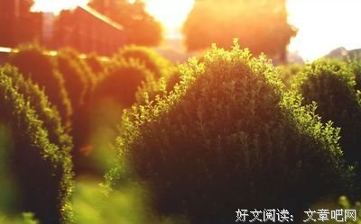 恰到好处的语句摘抄_关于恰到好处的语句