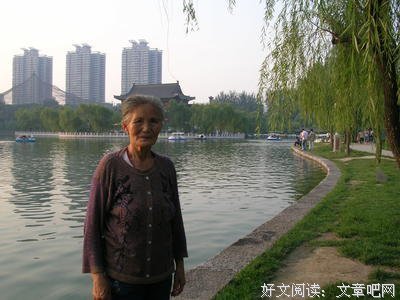 妈妈的手经典读后感有感