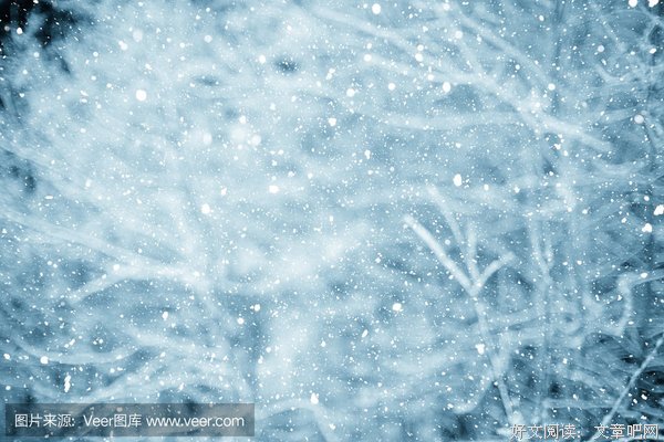 雪花雨的句子