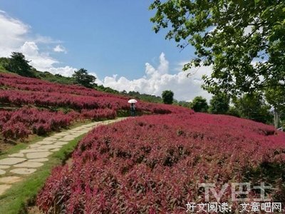 《何以笙箫默》的句子