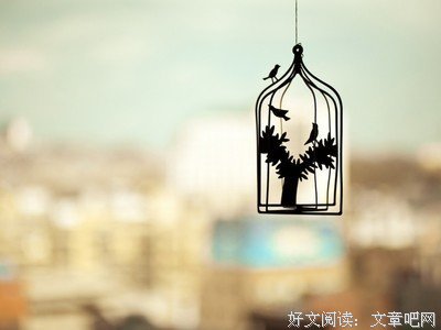 风筝的优美句子