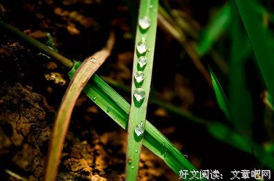 爱自爱自信自尊优美的句子