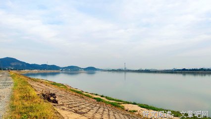 《故乡》的句子
