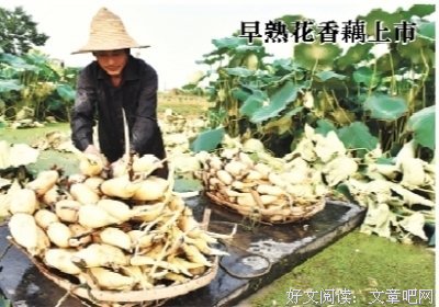 最经典的华明玥的名句