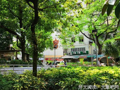 叶半黄的格言