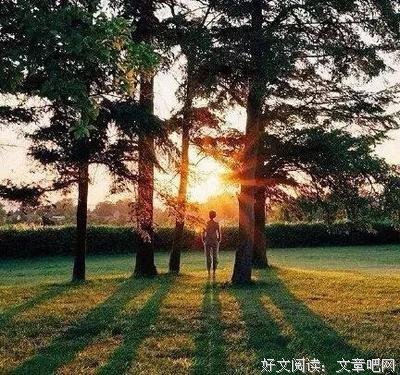 最全的《欲望》经典语录