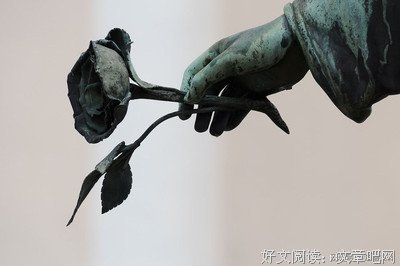 《归尘记》读后感锦集