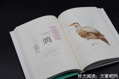 奇兽：山海经动物图鉴读后感精选