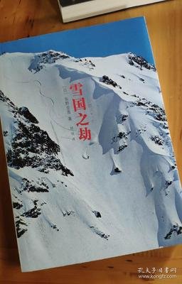 《雪国之劫》读后感精选