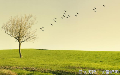 一厢情愿的名言_关于一厢情愿的名言
