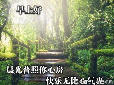 撕心裂肺的句子