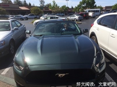 《浮沉洛杉矶》好看吗？经典影评锦集