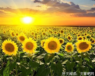 《单身老爸》观后感摘抄