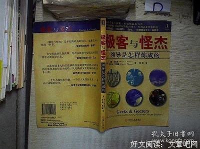 《极客怪杰：领导是如何炼成的》读后感精选