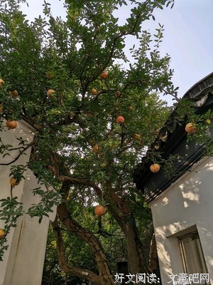《这就是我》的观后感大全