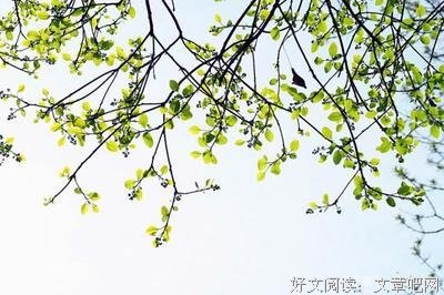 关于相依相偎的名言