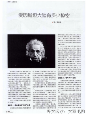 《如果人类是整个宇宙的大脑》读后感精选