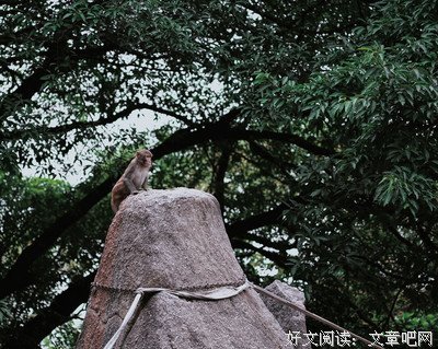 一塌糊涂的名言_关于一塌糊涂的名言
